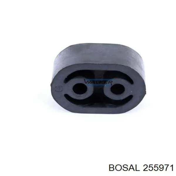  255971 Bosal