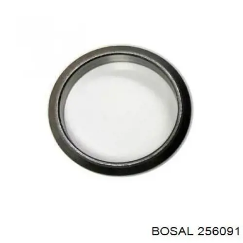 256091 Bosal