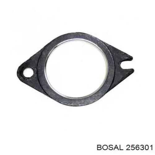 256301 Bosal