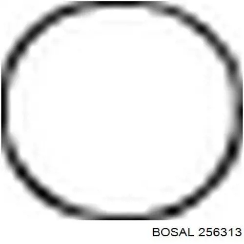  256313 Bosal