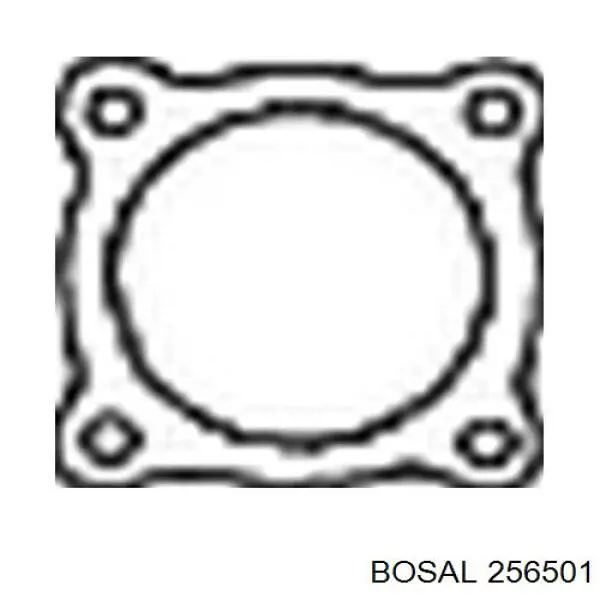  256501 Bosal