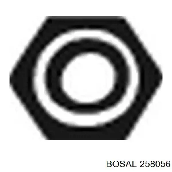  258056 Bosal