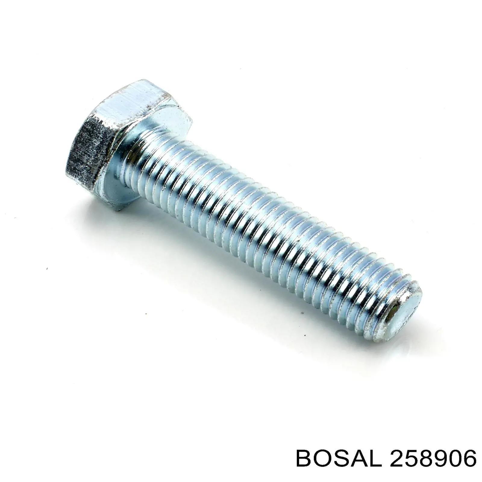 MF241288 Mitsubishi 