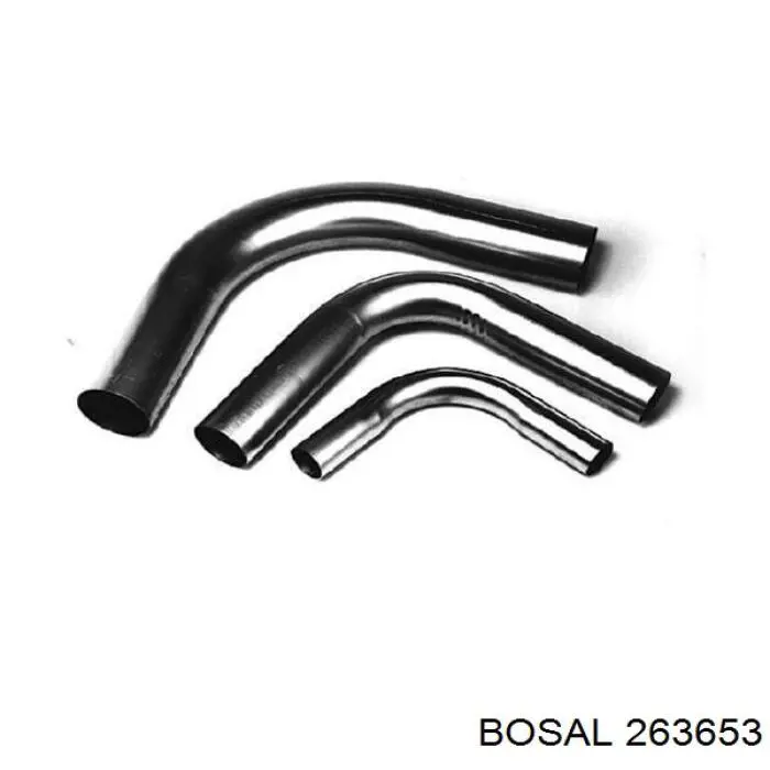  263653 Bosal