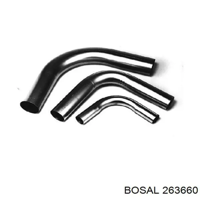  263660 Bosal