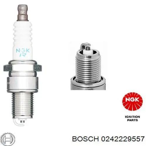 0242229557 Bosch