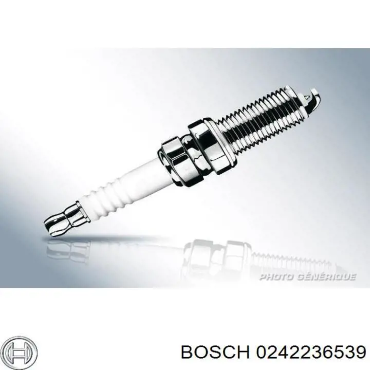 0242236539 Bosch