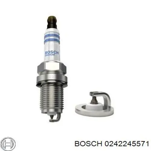 0242245571 Bosch