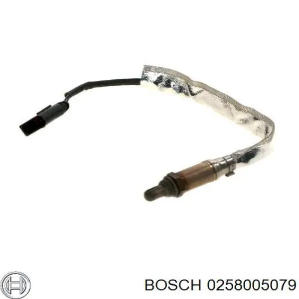 0258005079 Bosch