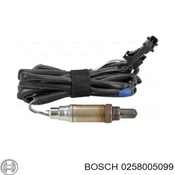  0258005099 Bosch