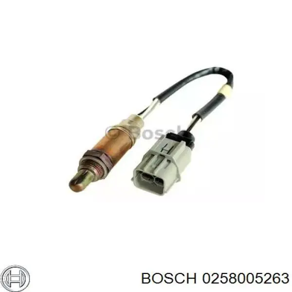 0258005263 Bosch