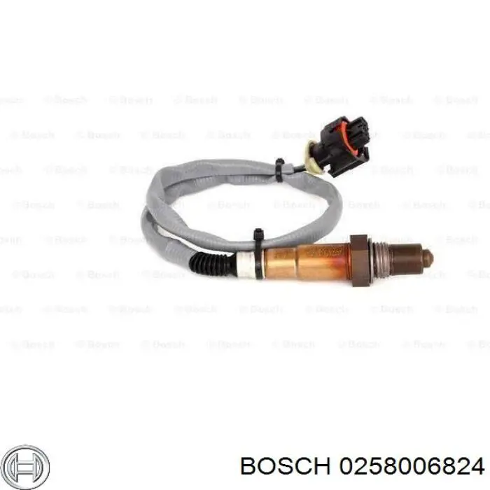  0258006824 Bosch