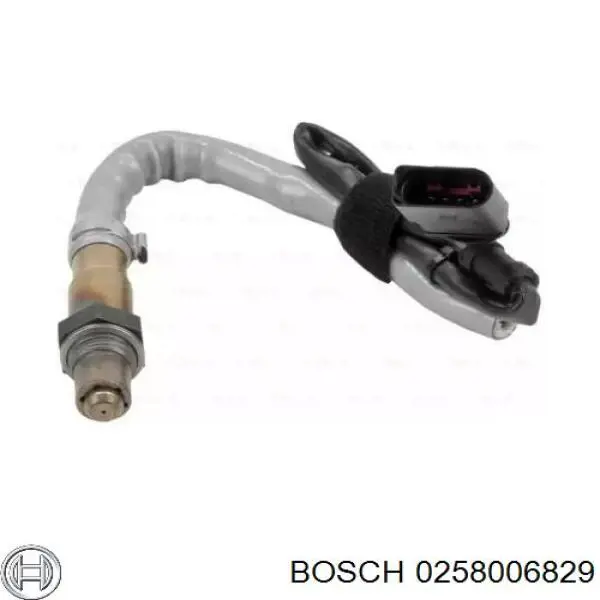  0258006829 Bosch