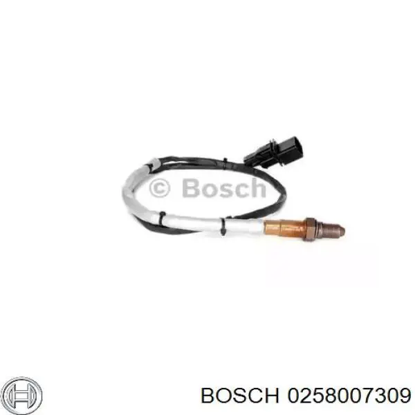  0258007309 Bosch