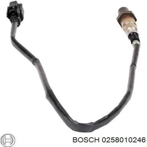 Sonda Lambda Sensor De Oxigeno Post Catalizador 0258010246 Bosch