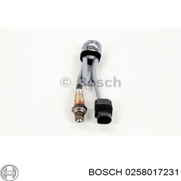 0258017231 Bosch