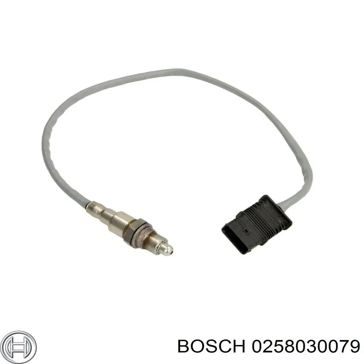 0258030079 Bosch 