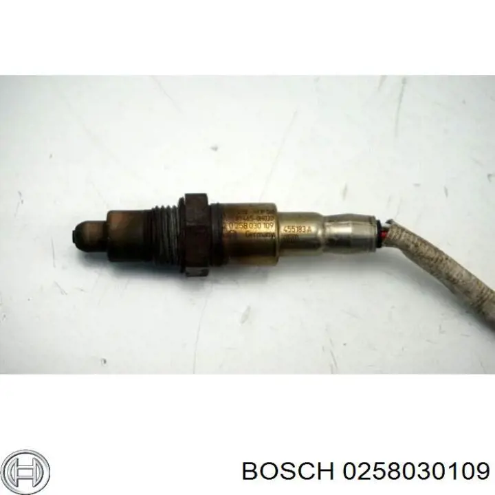 0258030109 Bosch