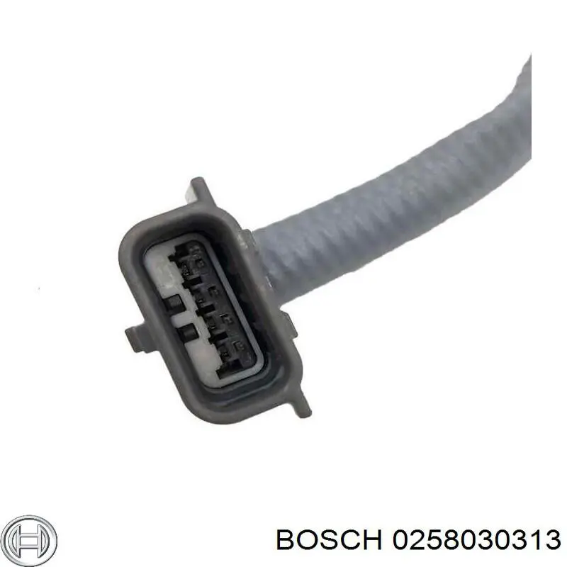 0258030313 Bosch