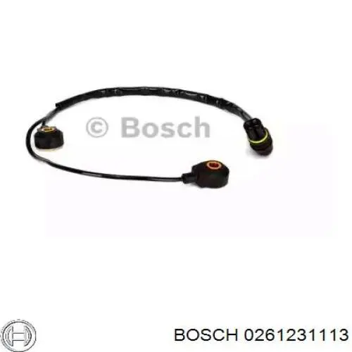 0261231113 Bosch Датчик самовоспламенения