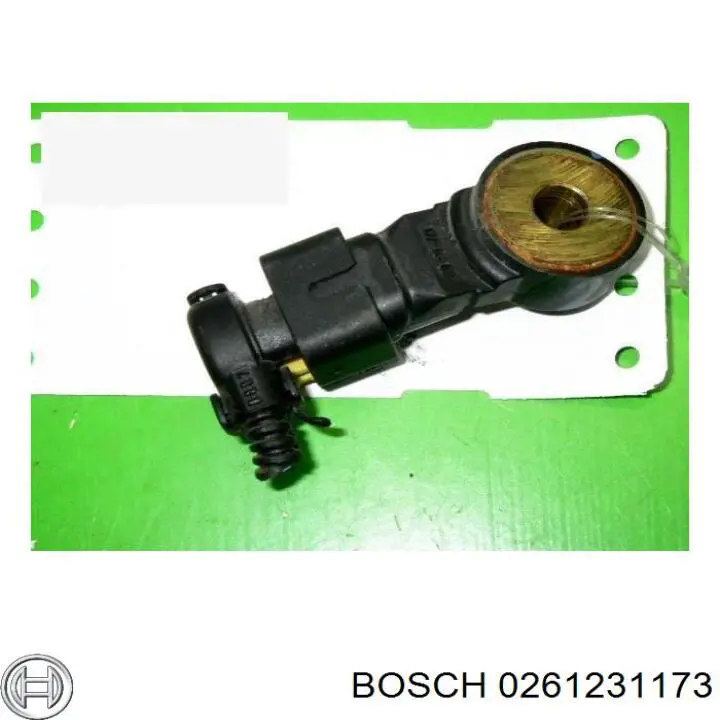 0261231173 Bosch