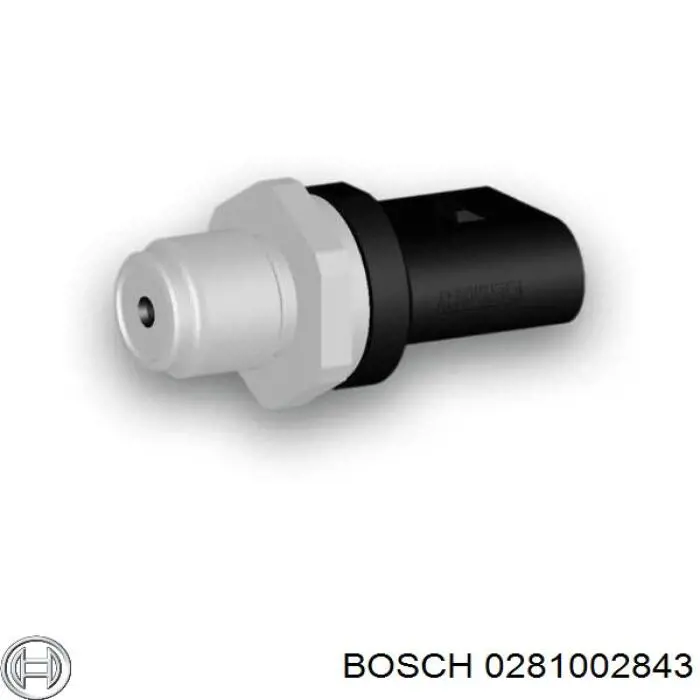 0281002843 Bosch Манометры