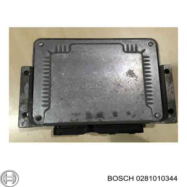 0281010344 Bosch Мозги двигателя