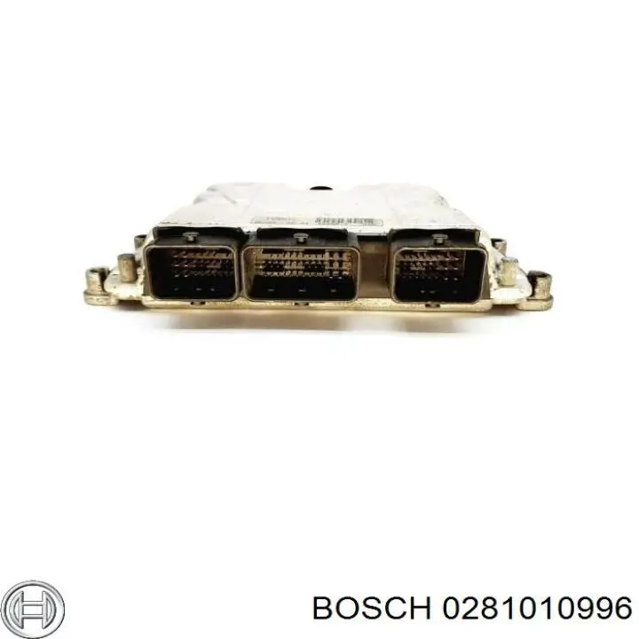 0281010996 Bosch Мозги двигателя