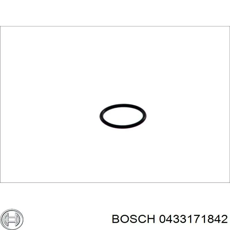 Купить 433171842 Bosch Распылитель форсунки