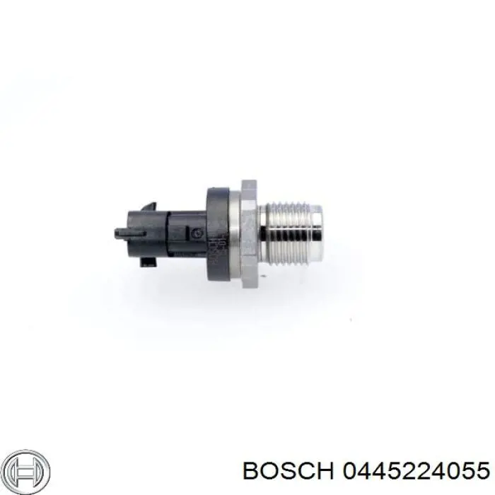 Распределитель топлива (рампа) 0445224055 Bosch
