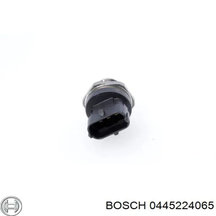 Распределитель топлива (рампа) 0445224065 Bosch