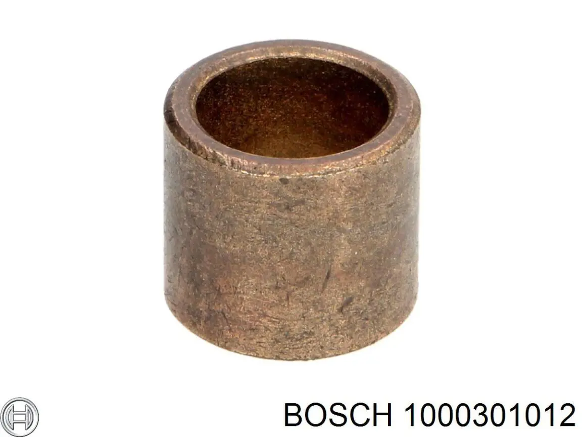 1000301012 Bosch bucha do motor de arranco
