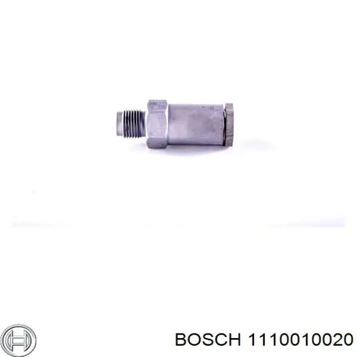 1110010020 Bosch