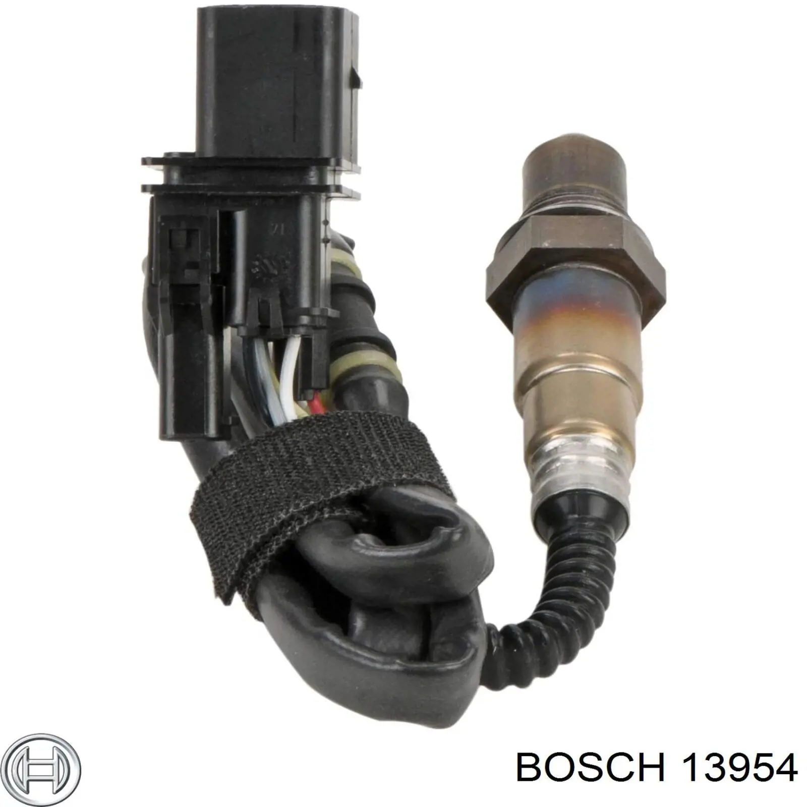  13954 Bosch