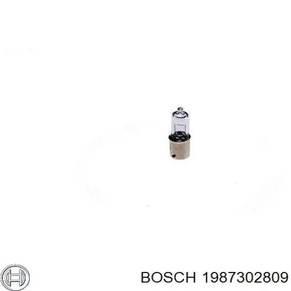 1 987 302 809 Bosch lâmpada
