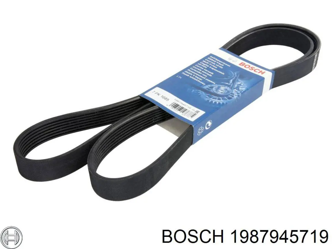 Correa trapezoidal 1987945719 Bosch