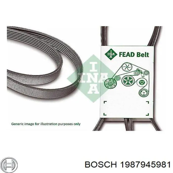 Correa trapezoidal 1987945981 Bosch