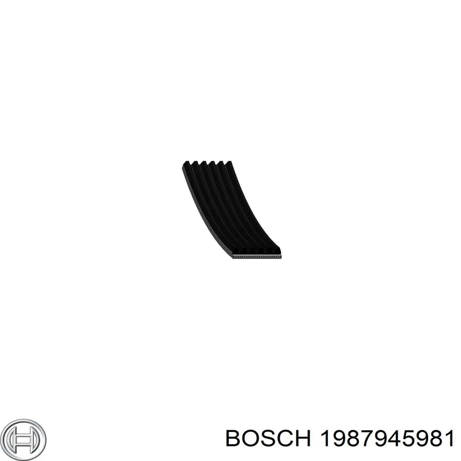 1987945981 Bosch correia dos conjuntos de transmissão