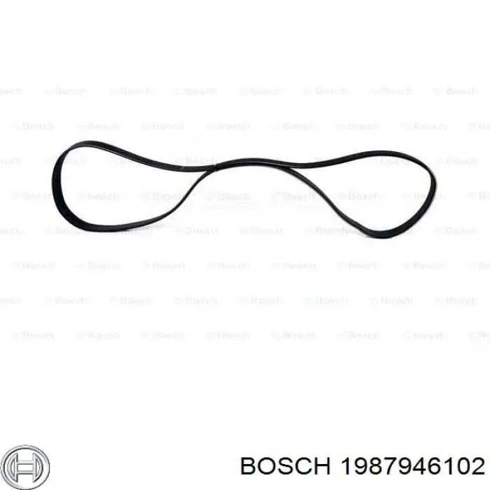 Correa poly v 1987946102 Bosch