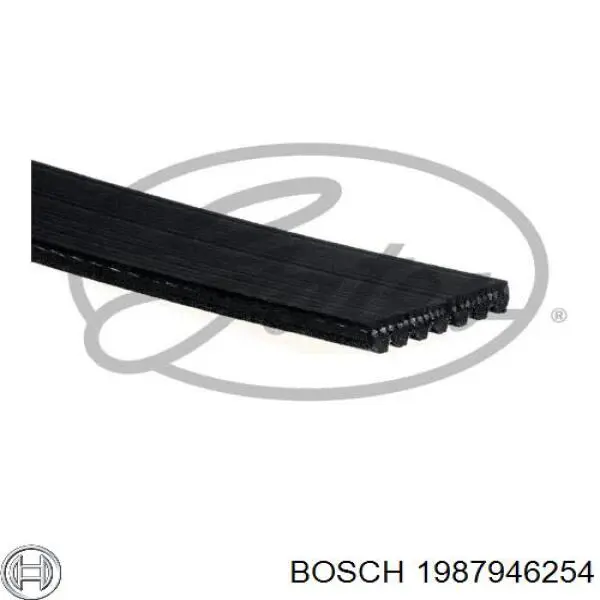 Ремень генератора 1987946254 Bosch