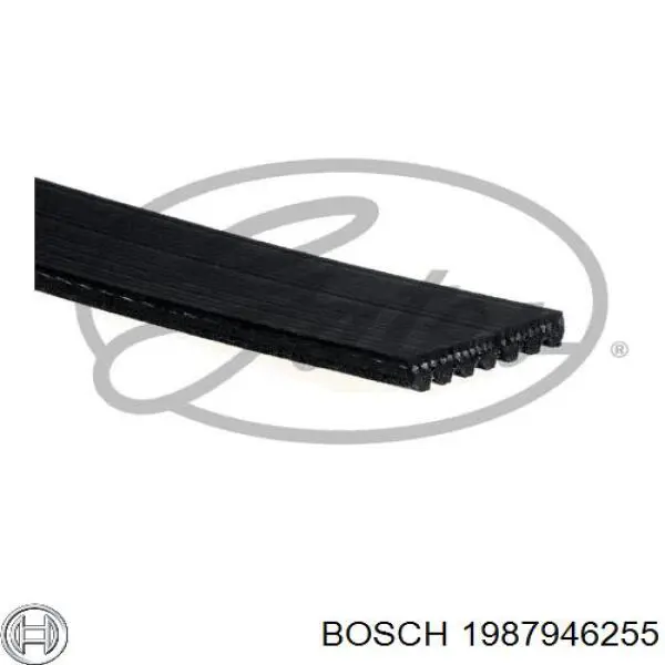Ремень генератора 1987946255 Bosch