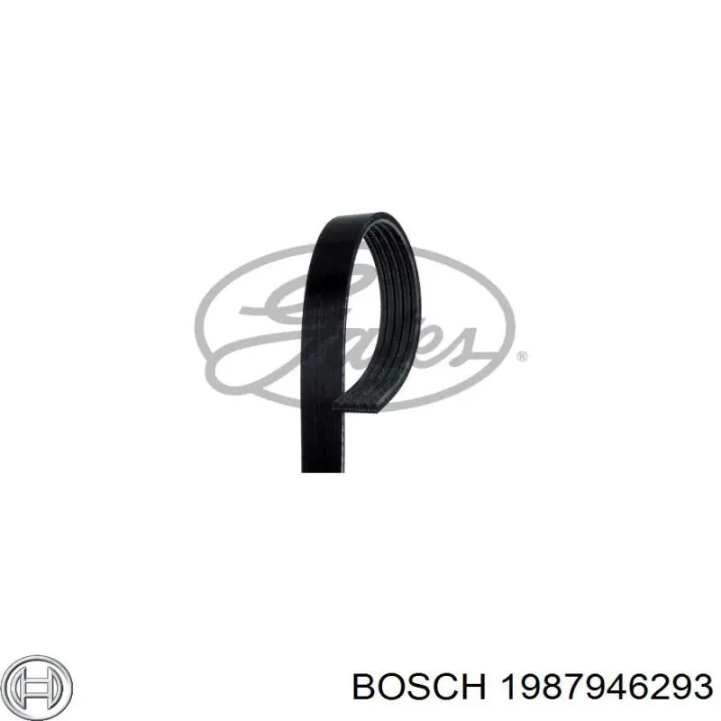 Купить 1987946293 Bosch Ремень генератора