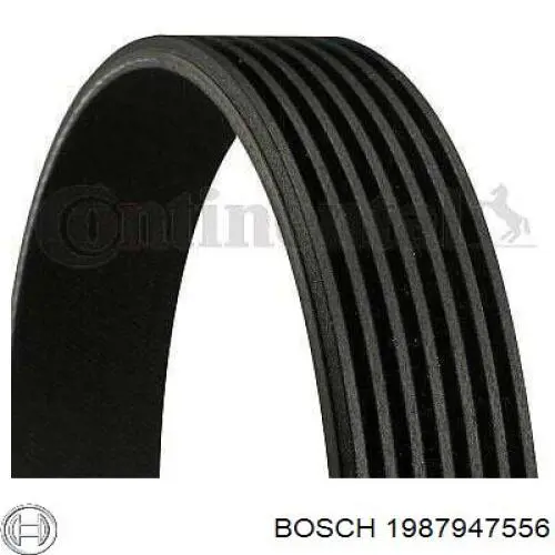 Клиновый ремень Bosch 1987947556 цена, от 18.16 USD