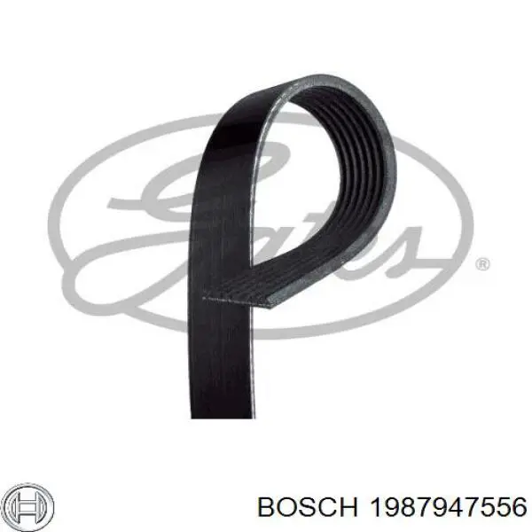 Купить 1987947556 Bosch Ремень генератора