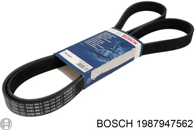 1987947562 Bosch correia dos conjuntos de transmissão