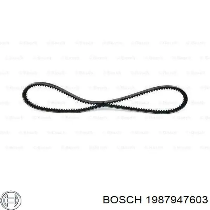 Correa trapezoidal 1987947603 Bosch