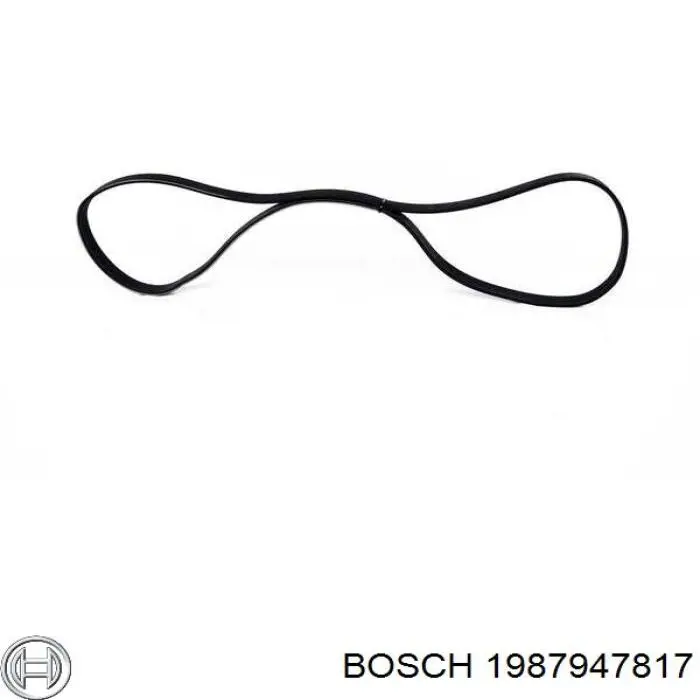 Correa trapezoidal 1987947817 Bosch