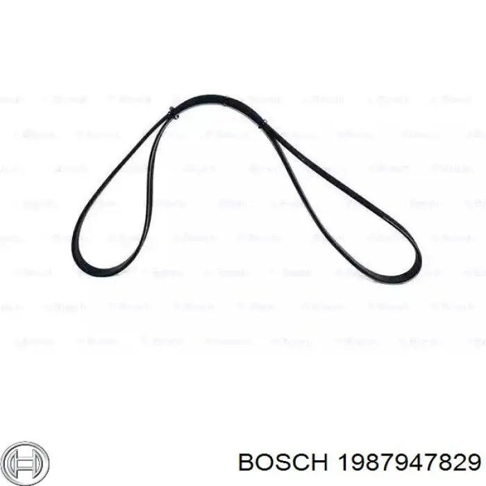 Correa trapezoidal 1987947829 Bosch