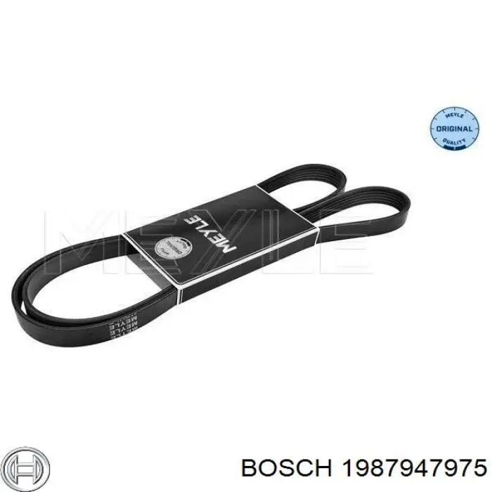 1987947975 Bosch Поликлиновый ремень