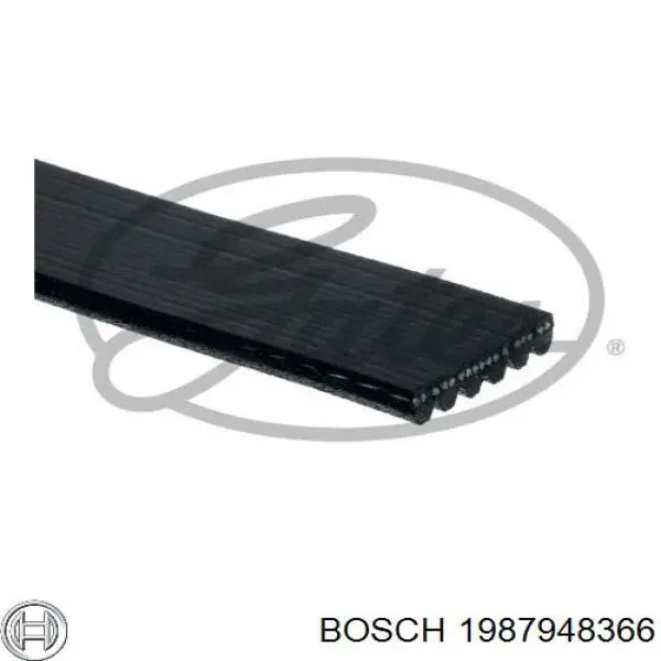 Купить 057903137C VAG Ремень генератора